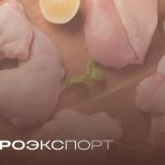 В первом полугодии 2025 российские птицеводы нарастили экспорт мяса на 30 процентов