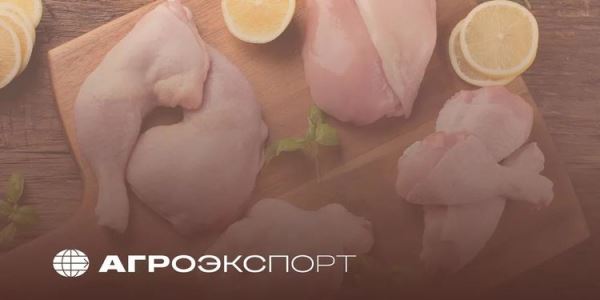 В первом полугодии 2025 российские птицеводы нарастили экспорт мяса на 30 процентов