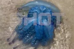 3962bc5ae27bf1d8e3eee5862f4c3e81.jpg