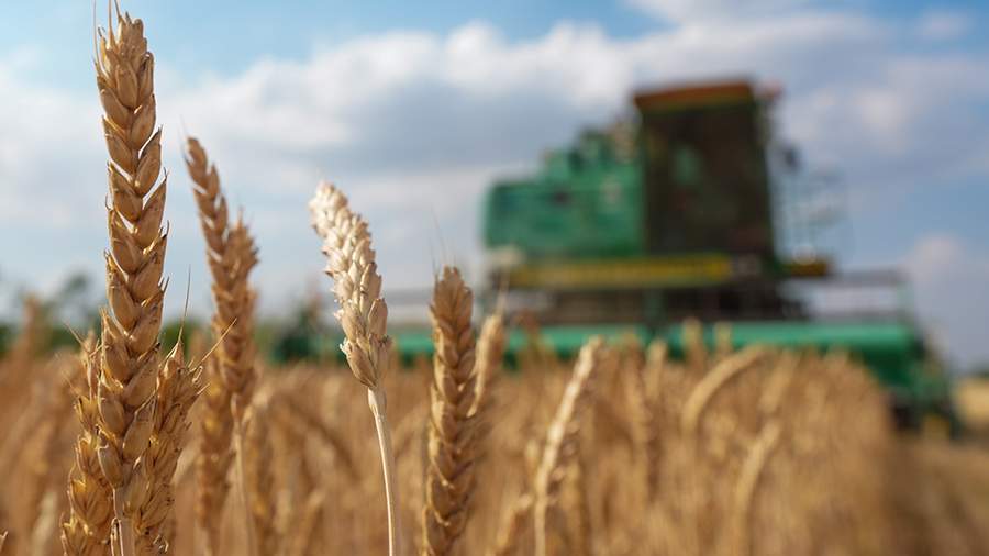 Меморандум России и ООН об экспорте сельхозпродукции из РФ не будет продлен