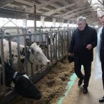 Животноводство Ростовской области может попасть в зону экономической неустойчивости