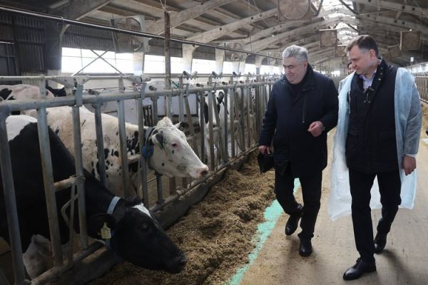 Животноводство Ростовской области может попасть в зону экономической неустойчивости