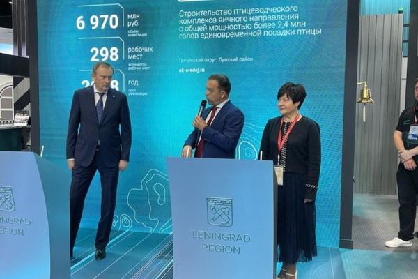 5 млрд штук куриных яиц в год в планах Ленинградской области: ИИ тоже участвует